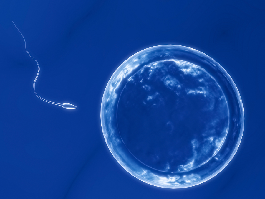 Sell your sperm