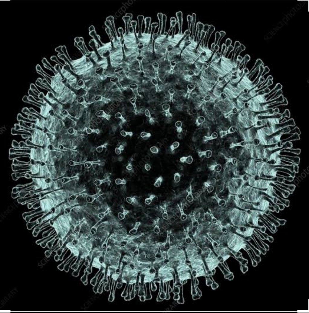 Chloroquine Phosphate:Cure To Corona Virus 1