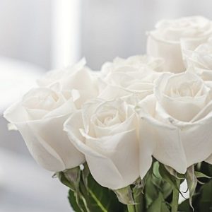 Mark Xavier Passed Away – Death | Mark Xavier Has Died