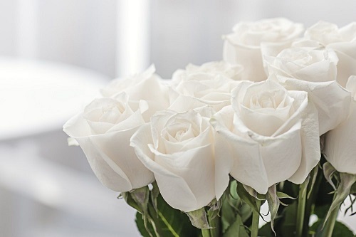 Kathleen Gonzales Death